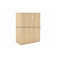 Medium Swing Door Cabinet