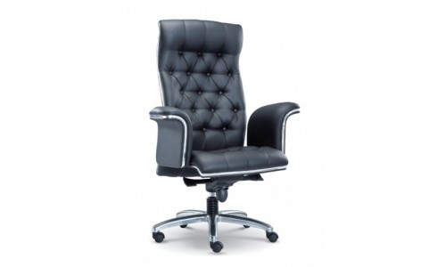 CEO Series